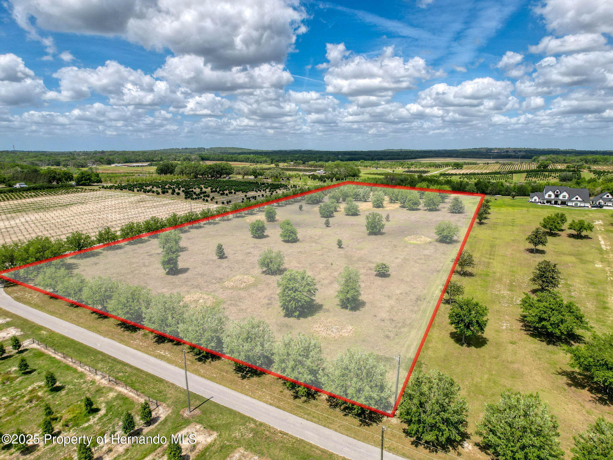 Hidden Meadows Road, Brooksville, Florida image 6