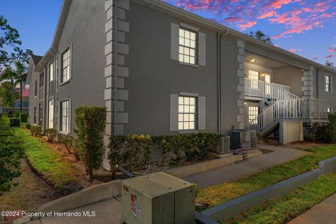 Condo For Sale - 12133 Spartan Way #203<br/> Hudson, FL 34667