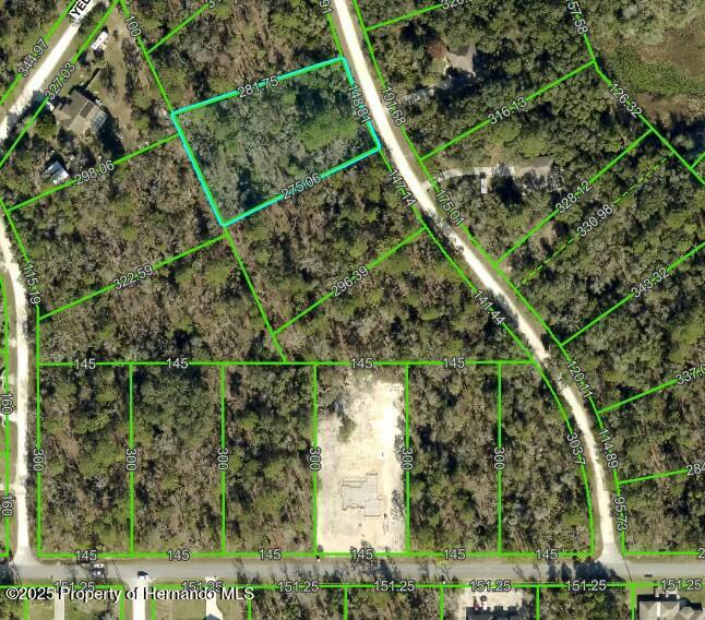 10506 Yellowlegs Avenue, Weeki Wachee, Florida image 1