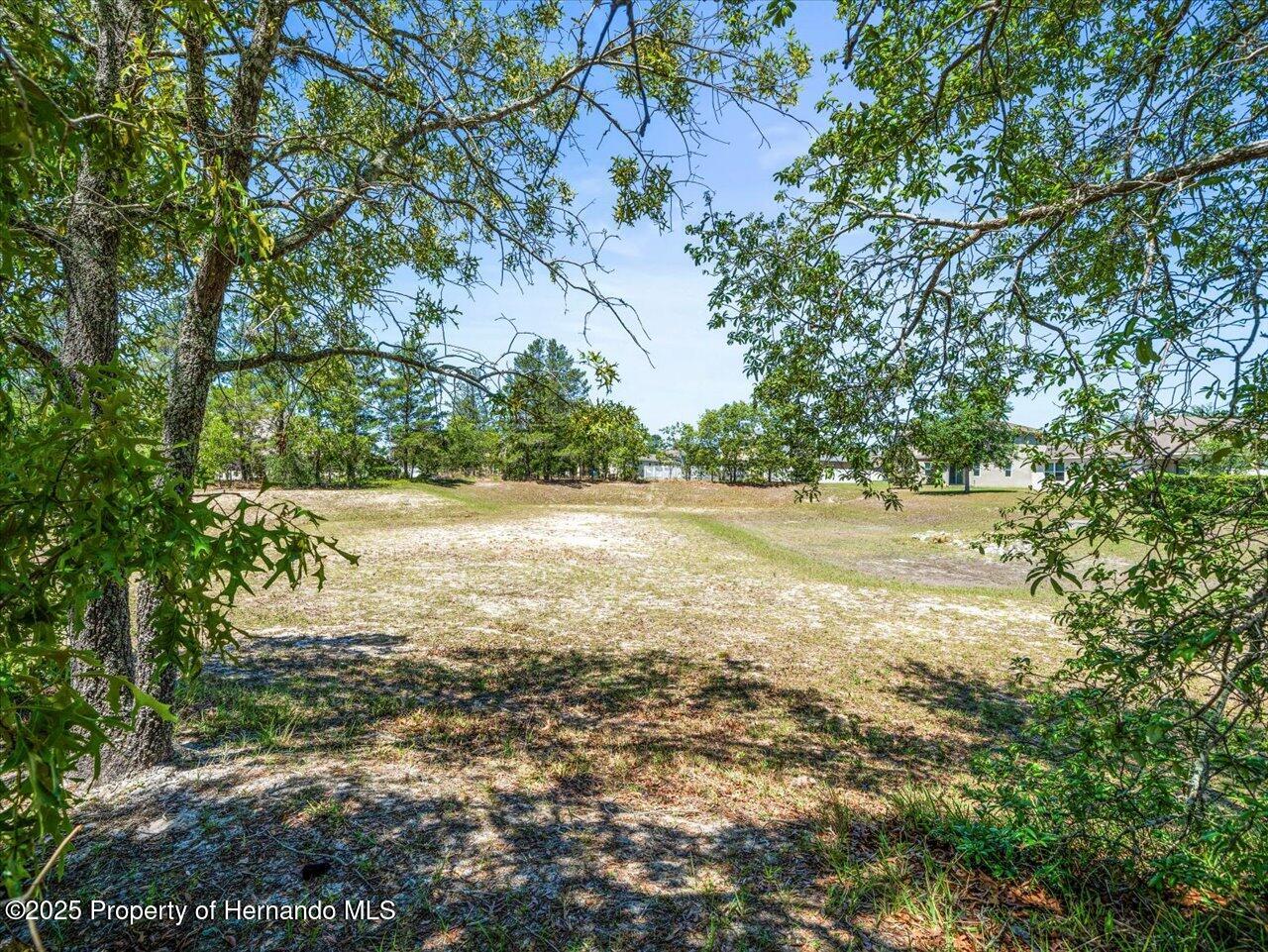 3885 Crossline Drive, Spring Hill, Florida image 36