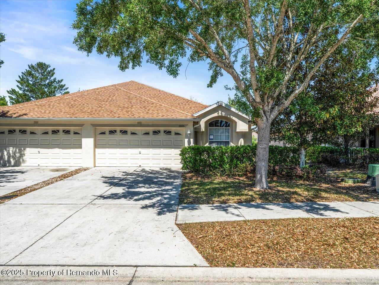 3885 Crossline Drive, Spring Hill, Florida image 1
