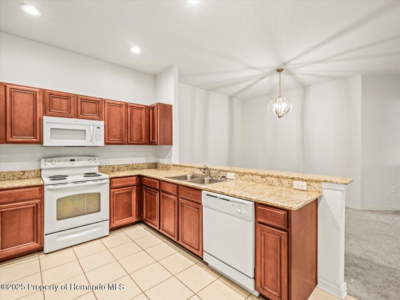 3885 Crossline Drive, Spring Hill, Florida image 20