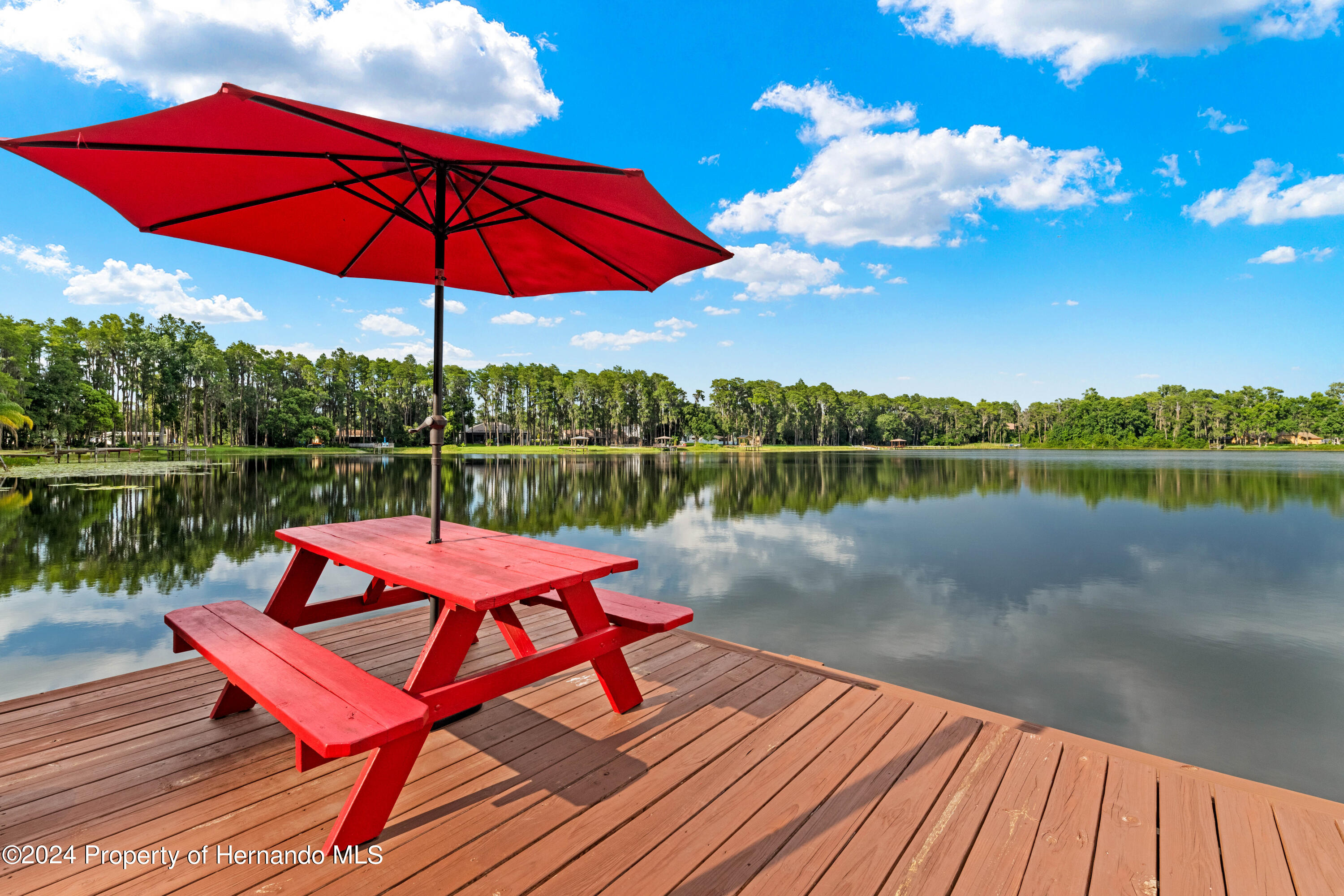17501 Brown Road, Odessa, Florida image 45