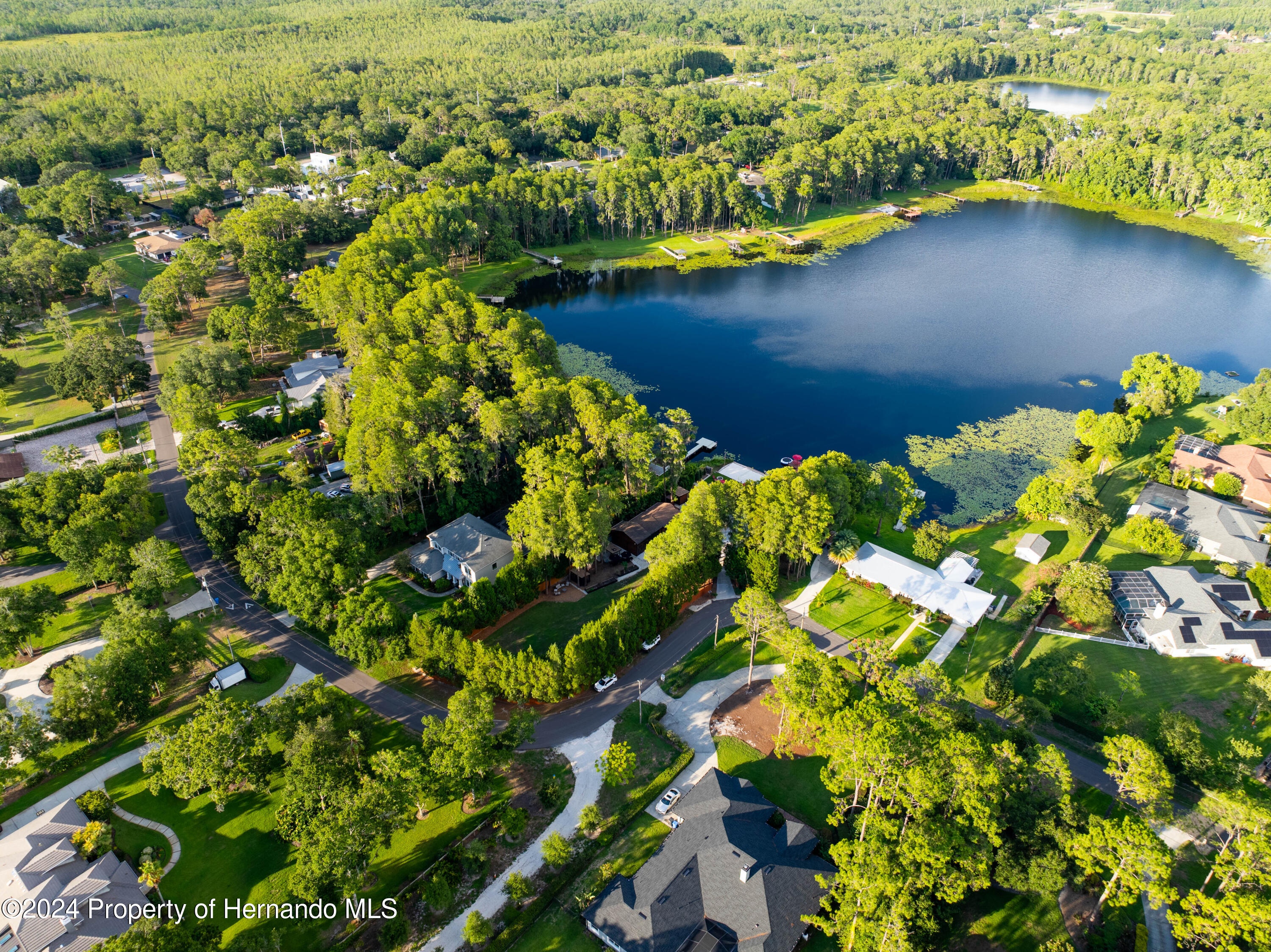 17501 Brown Road, Odessa, Florida image 4