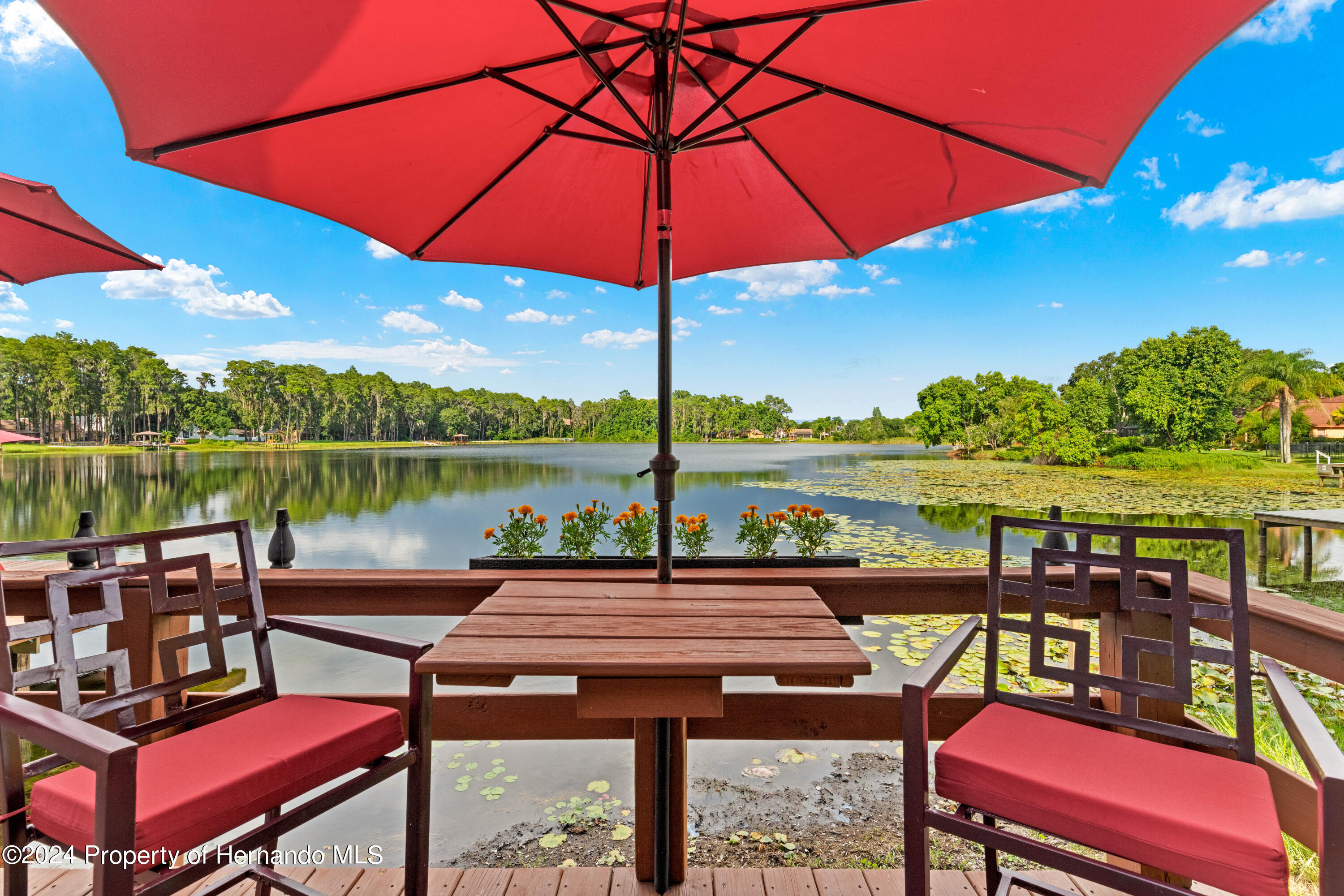 17501 Brown Road, Odessa, Florida image 43