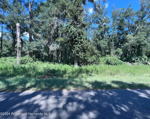 Vacant Land For Sale - 00 Nw 90 Court<br/> Fanning Springs, FL 32693