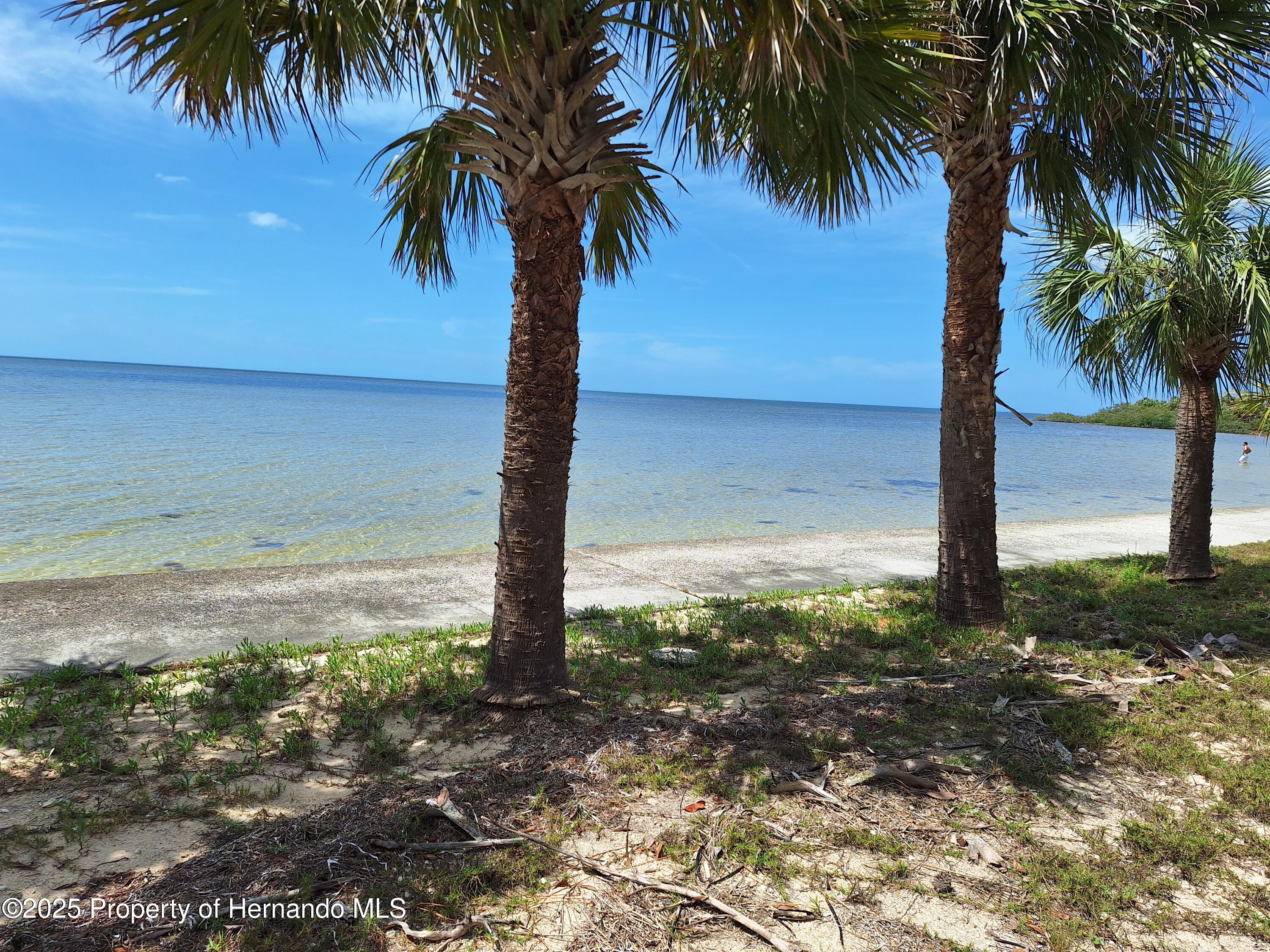 3461 Gum Drive, Weeki Wachee, Florida image 44