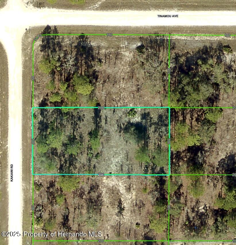 16330 Kakawi Road, Weeki Wachee, Florida image 1