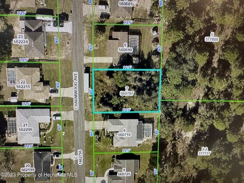 Vacant Land For Sale - Charmwood Avenue<br/> Spring Hill, FL 34609