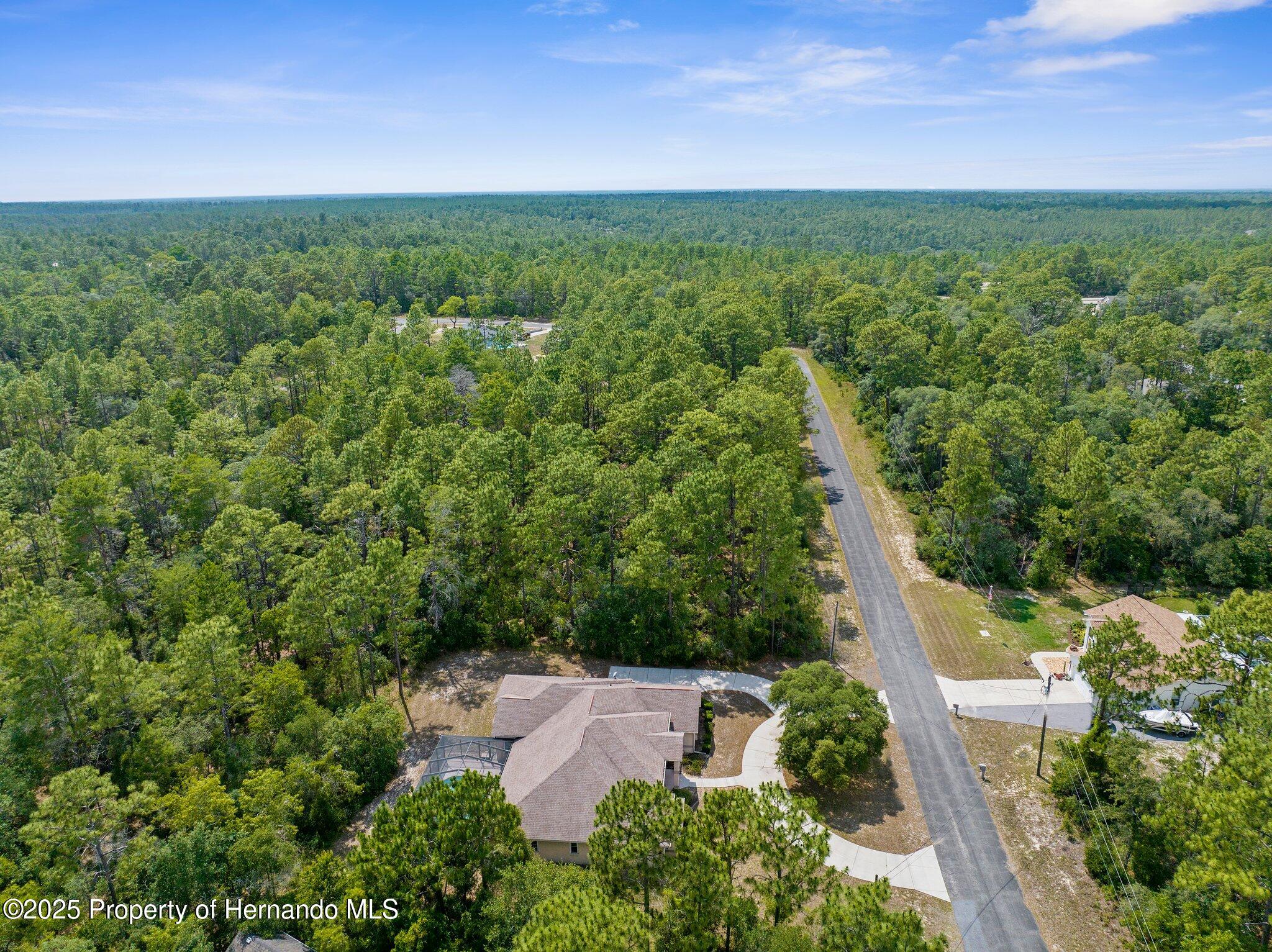 8518 N Linwood Loop, Citrus Springs, Florida image 41