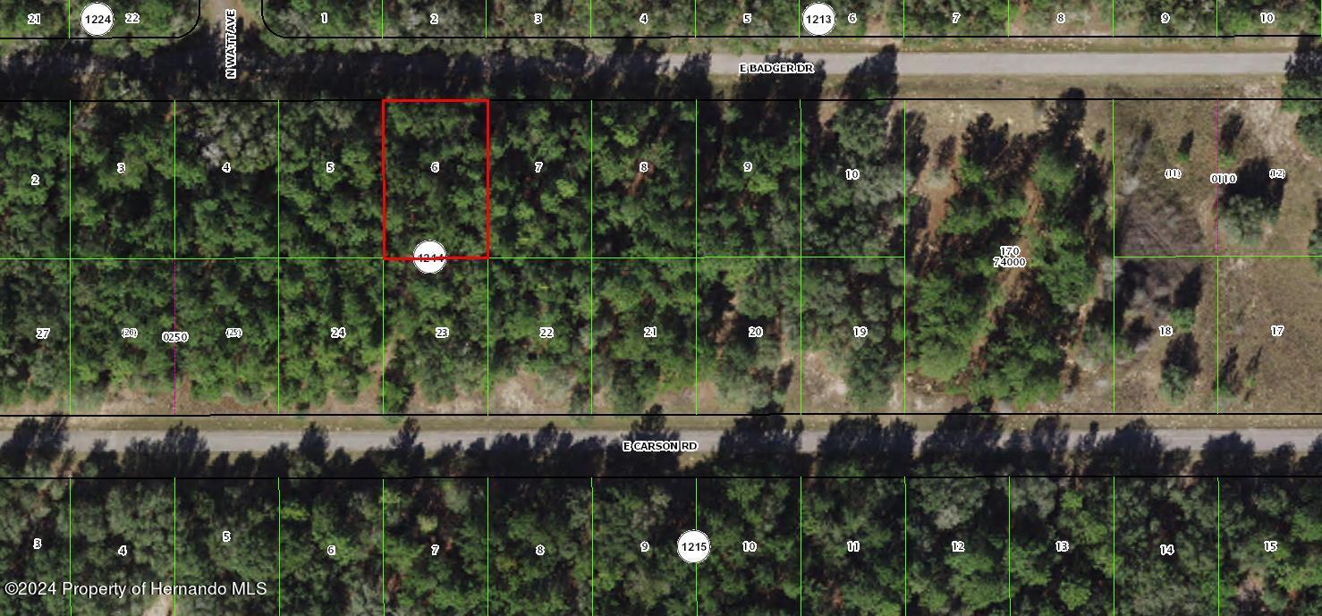 1650 E Badger Drive, Citrus Springs, Florida image 1