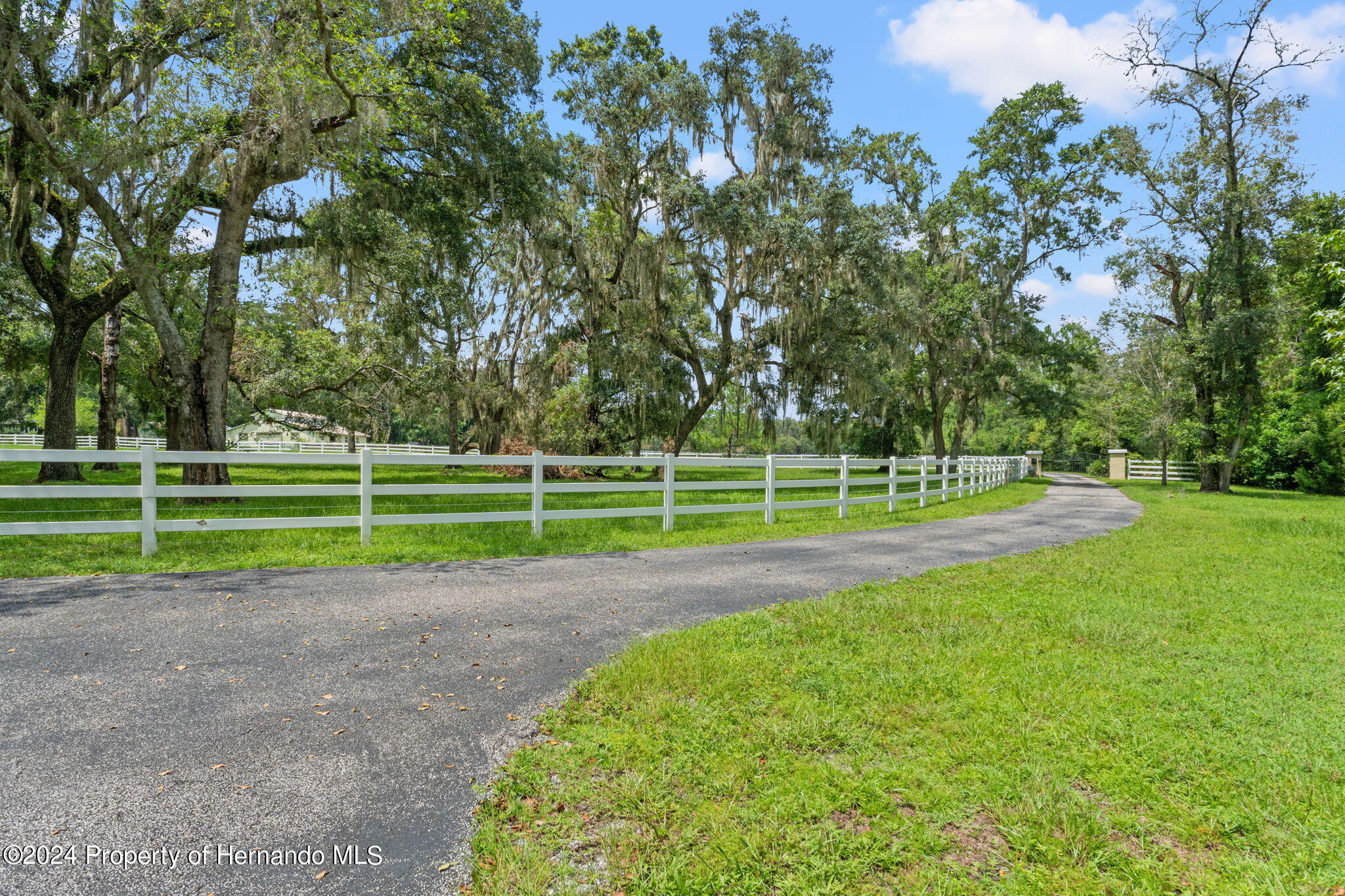 21360 Race Horse Lane, Brooksville, Florida image 3