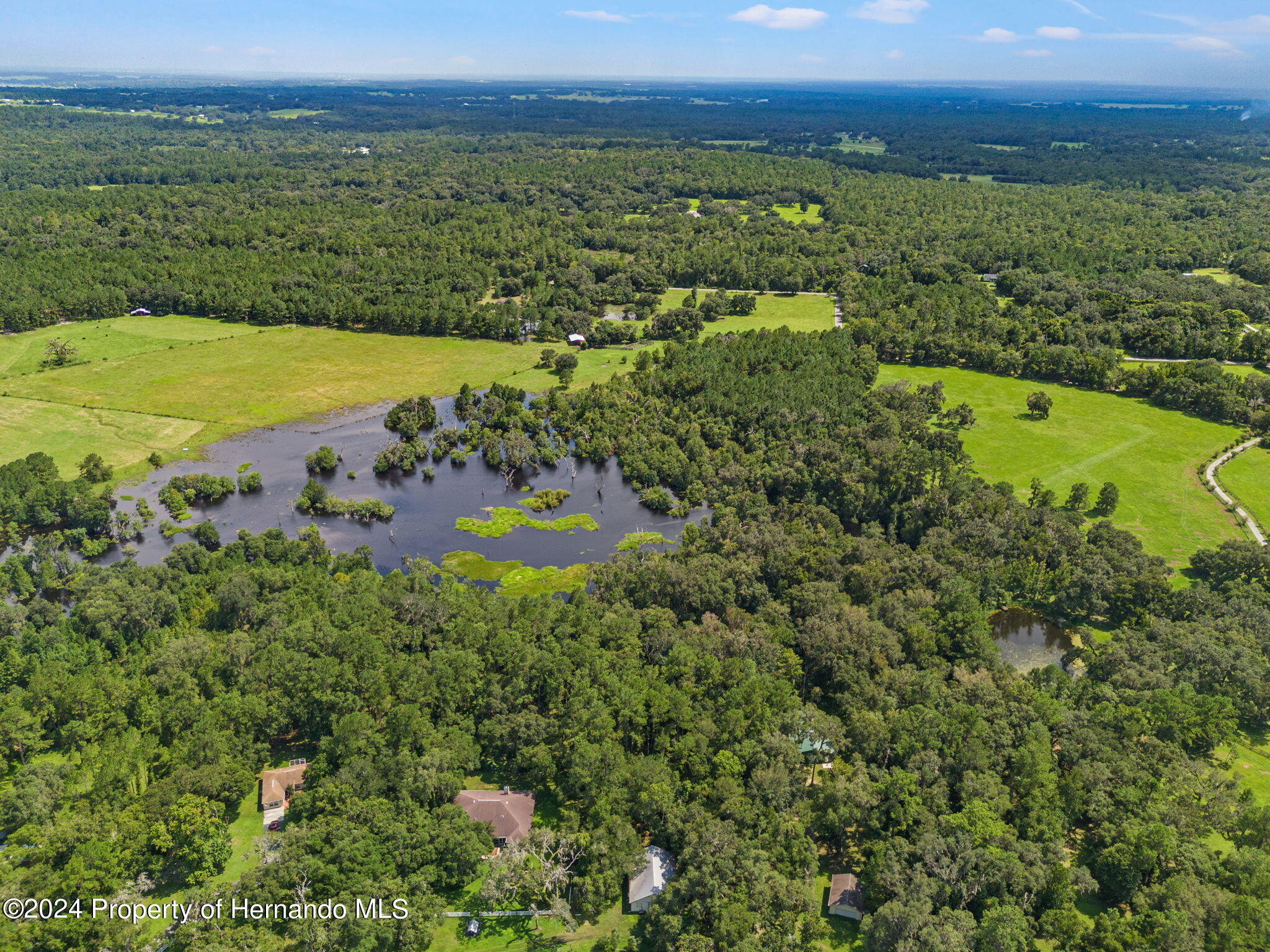 21360 Race Horse Lane, Brooksville, Florida image 46