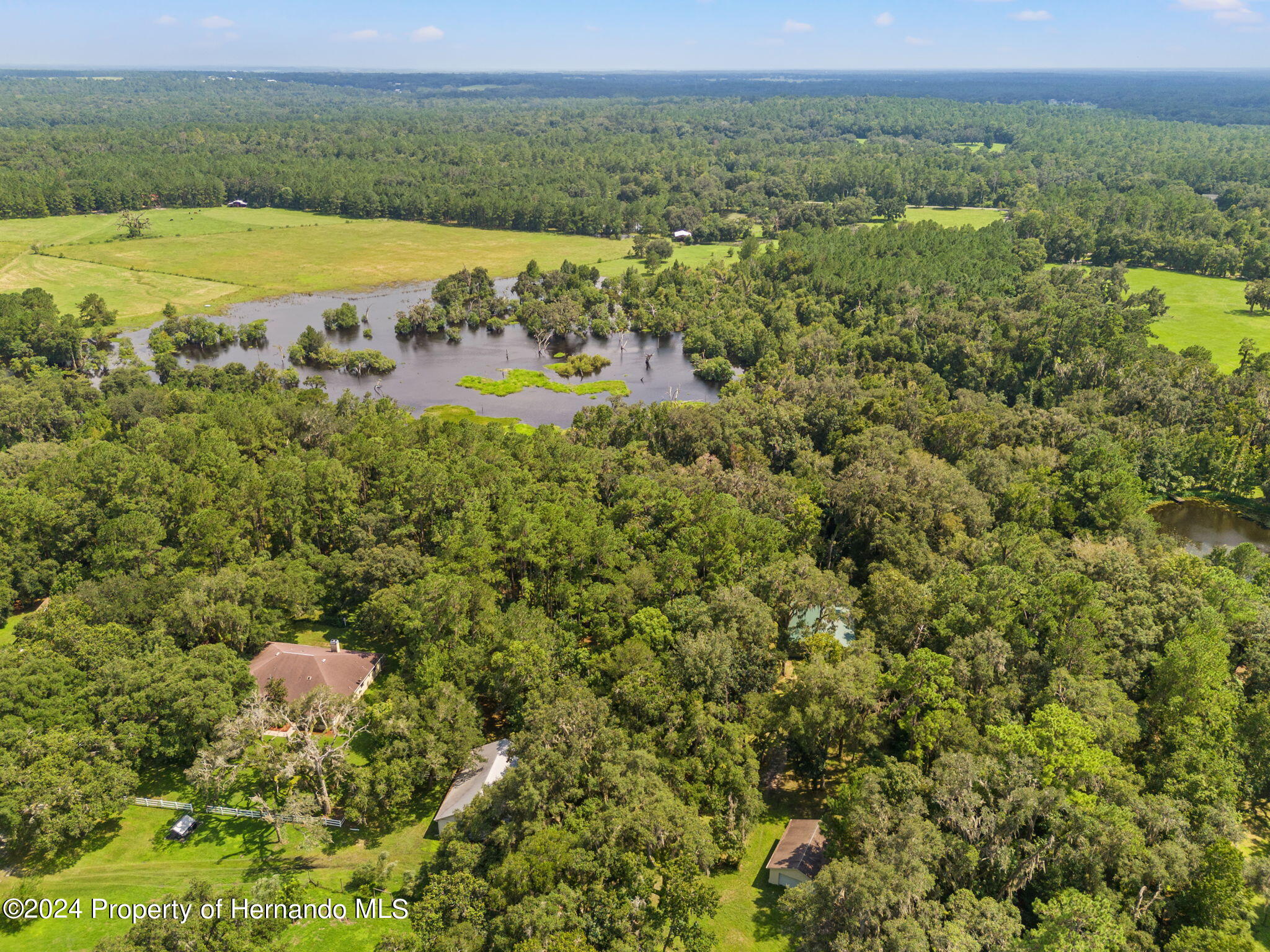 21360 Race Horse Lane, Brooksville, Florida image 44