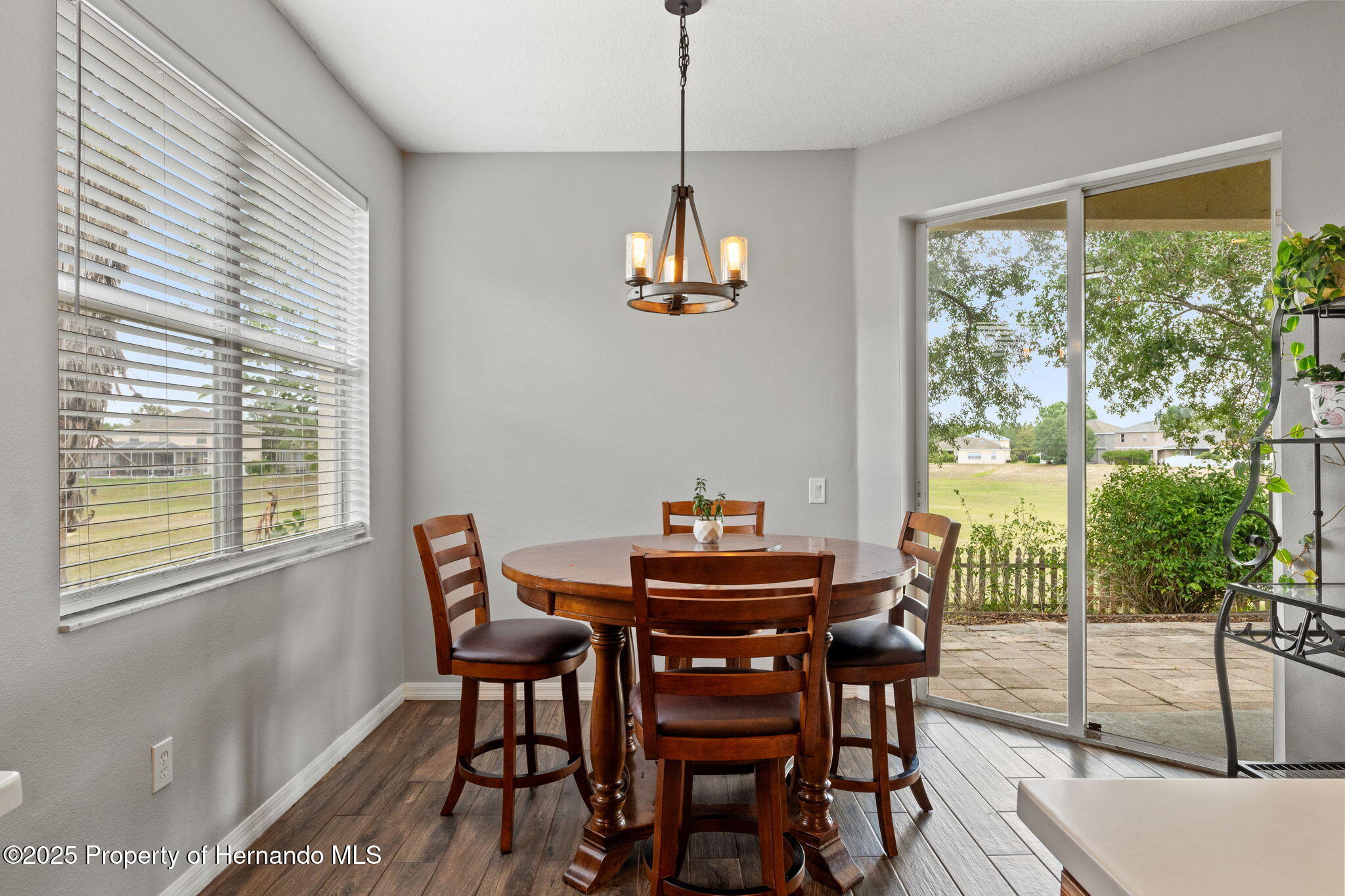 4124 Canongate Court, Spring Hill, Florida image 11