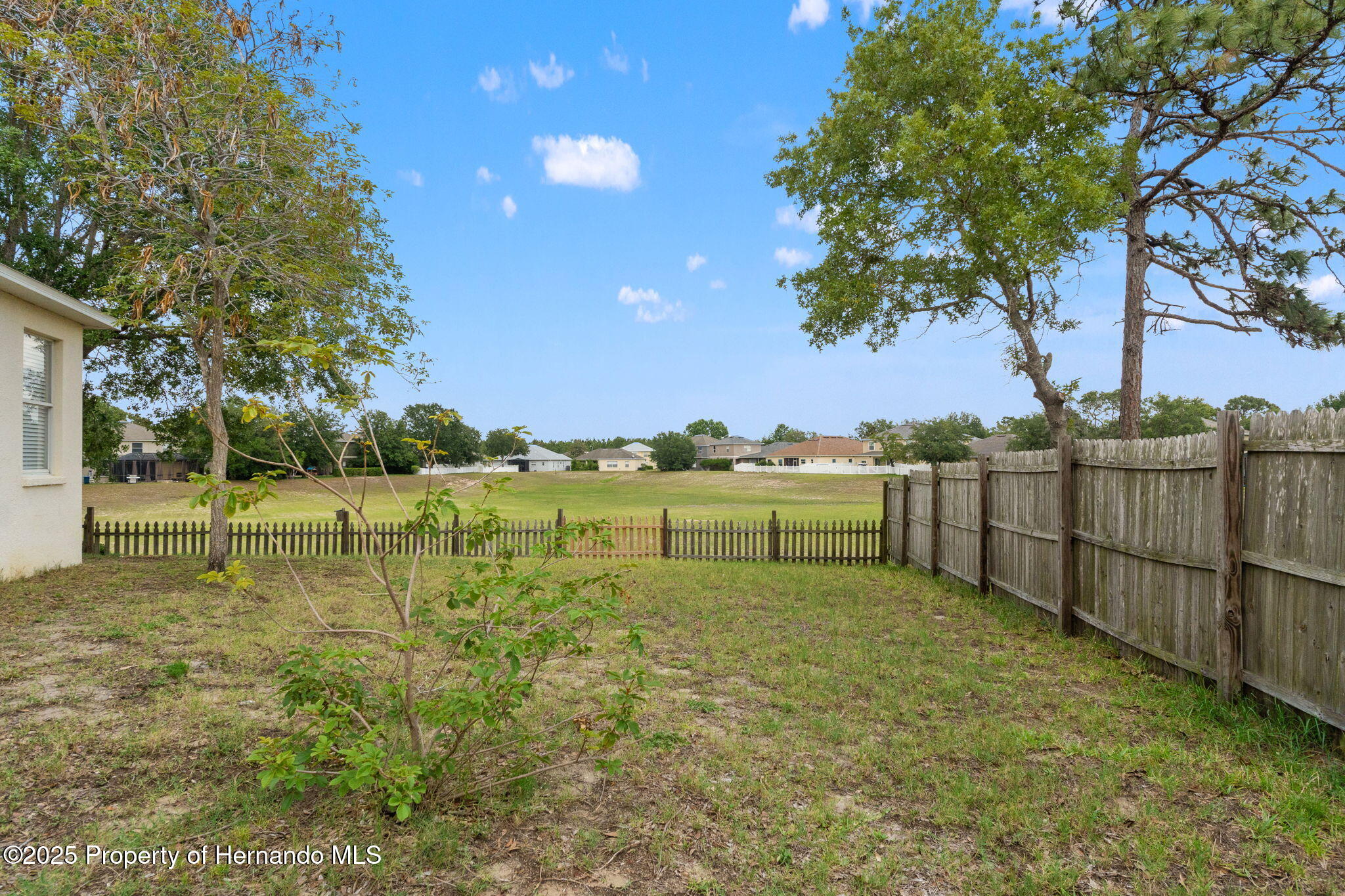4124 Canongate Court, Spring Hill, Florida image 40
