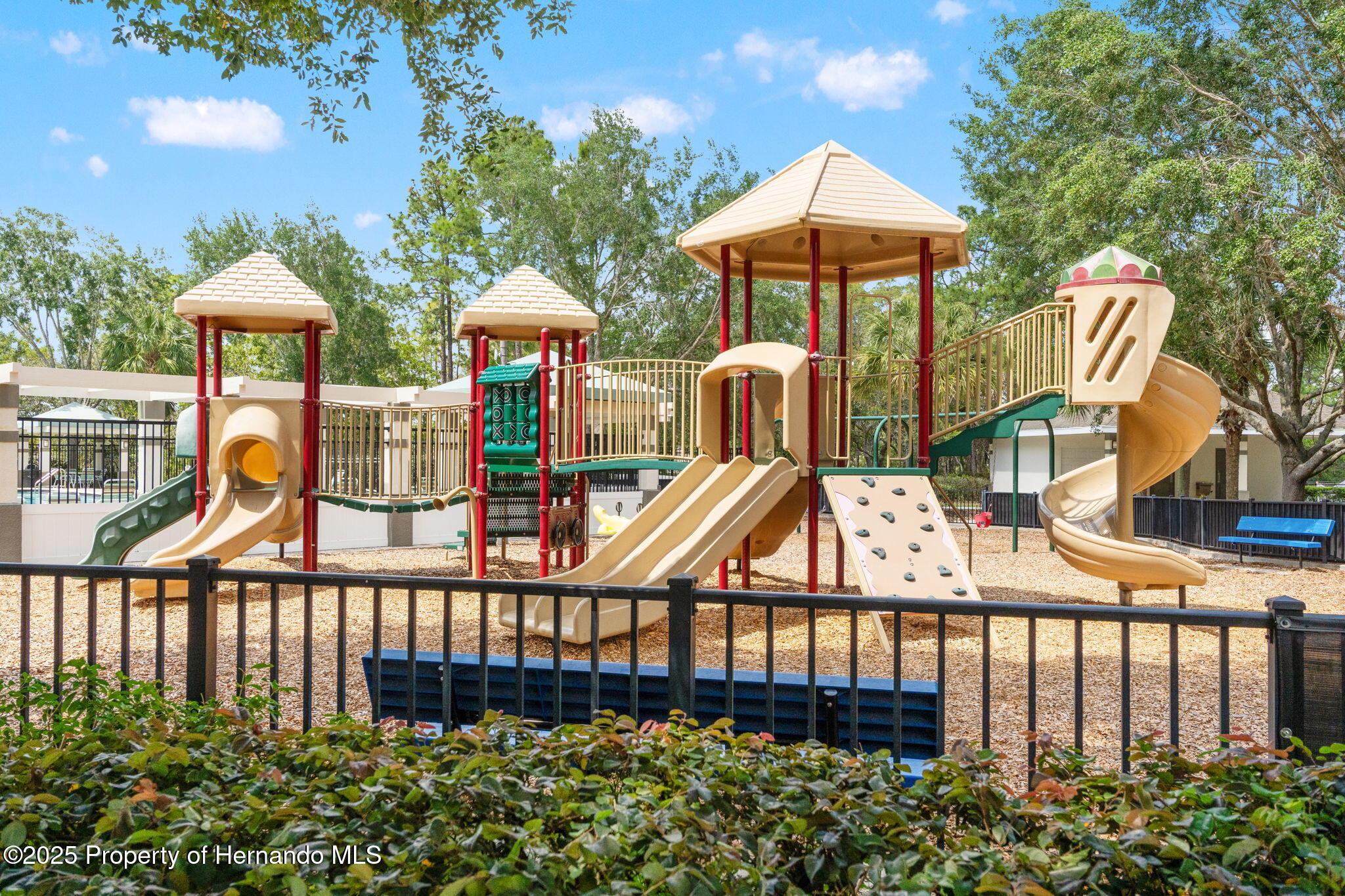 4124 Canongate Court, Spring Hill, Florida image 44