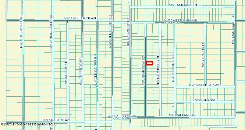 449946 Nw Sparrow Road, Dunnellon, Florida image 2