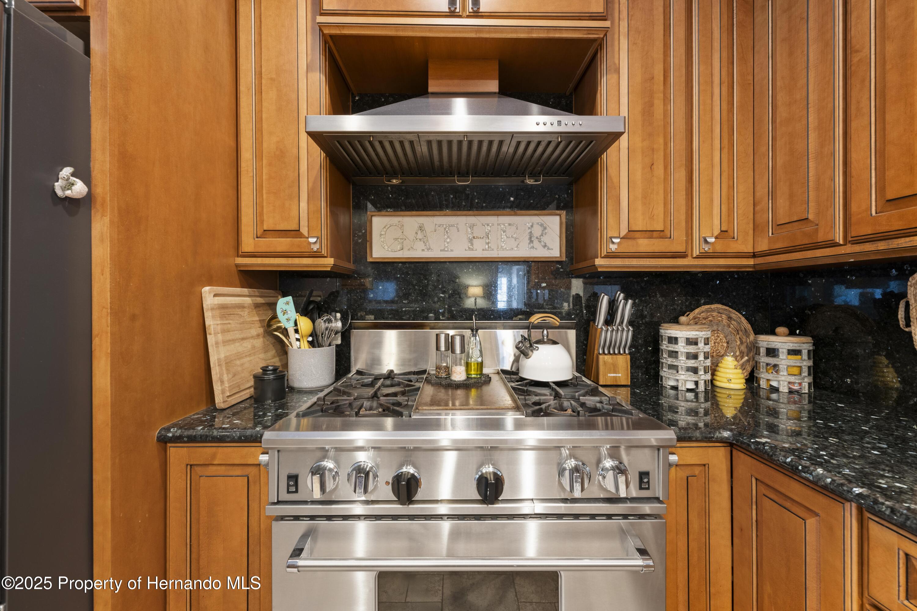 18836 Green Park Road, Hudson, Florida image 20