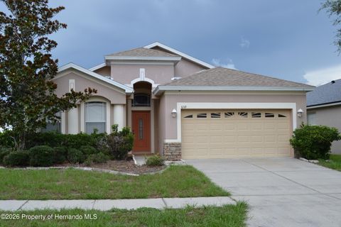 Homes For Sale - 659 Winthrop Drive<br/> Hernando County, Spring Hill, FL 34609