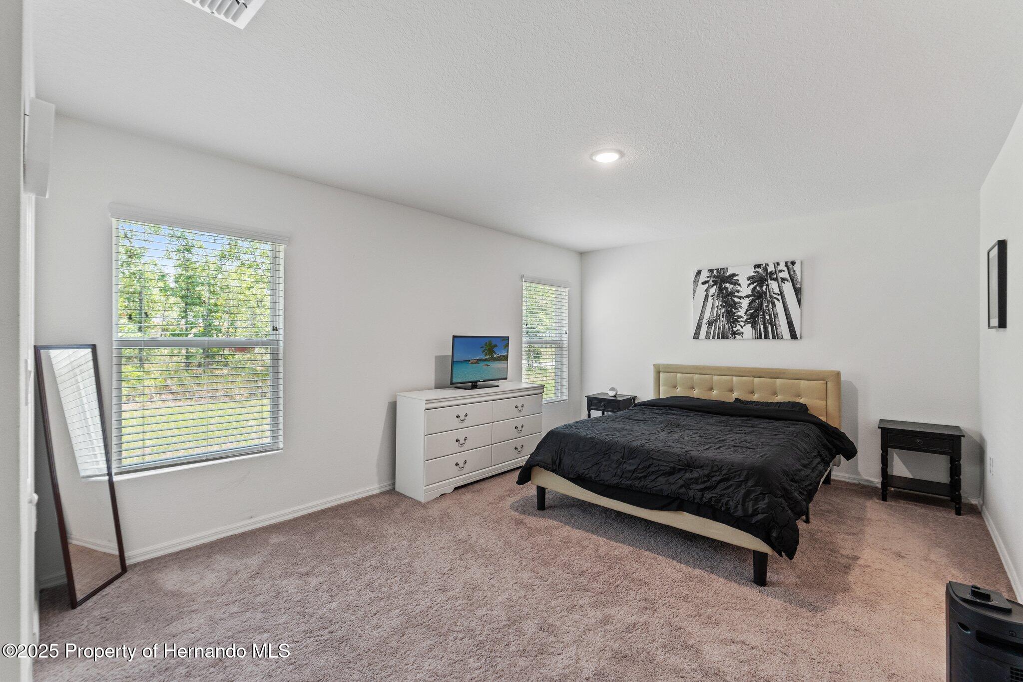 15414 Green Jay Road, Weeki Wachee, Florida image 17