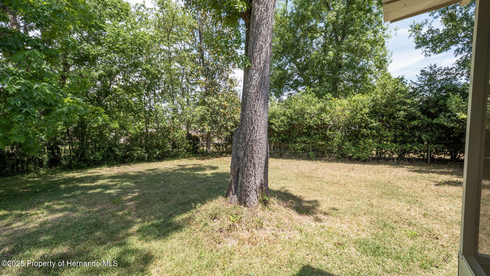 23409 Dogwood Estates Drive, Brooksville, Florida image 37