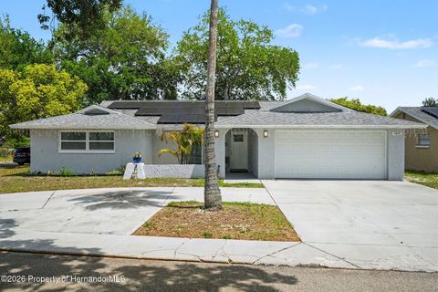Homes For Sale - 11828 Bingham Drive<br/> Port Richey, FL 34668