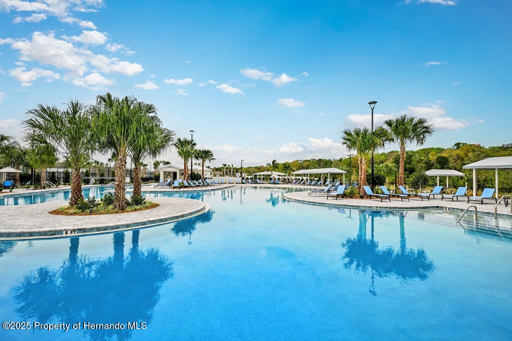 17245 Tortoise Crown Boulevard, LAND O LAKES, Florida image 32
