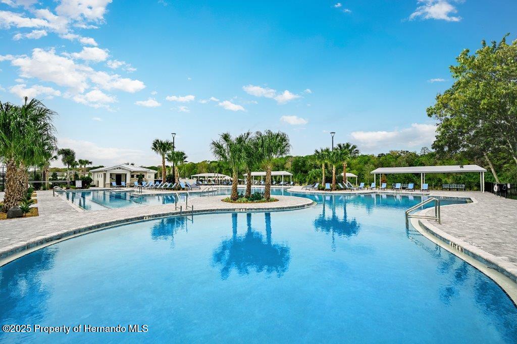 17245 Tortoise Crown Boulevard, LAND O LAKES, Florida image 30