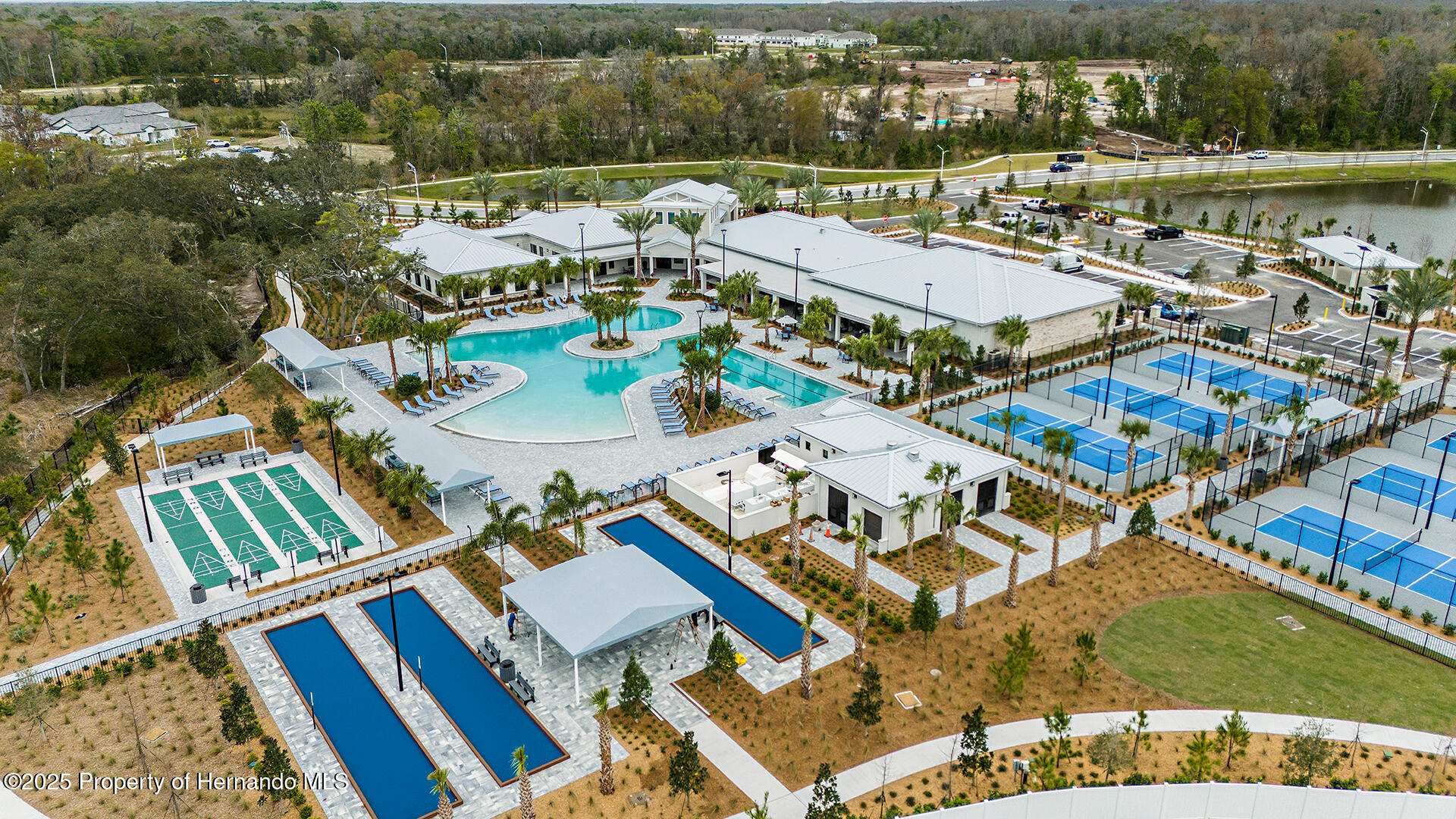 17245 Tortoise Crown Boulevard, LAND O LAKES, Florida image 20