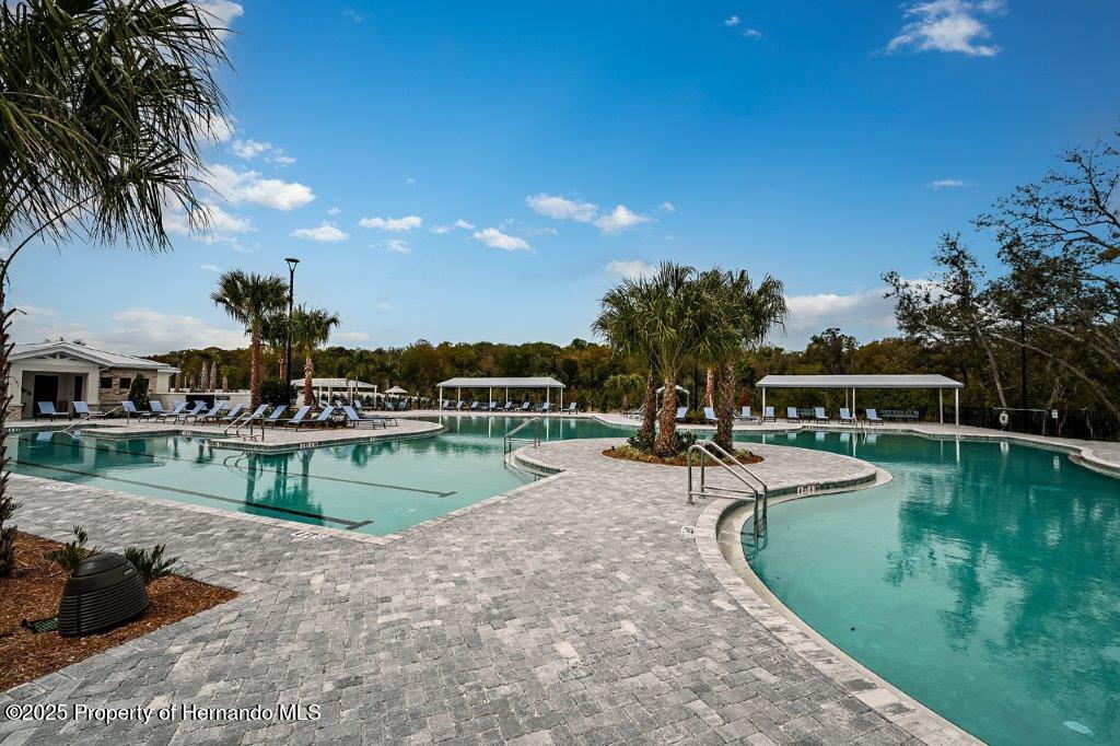 17245 Tortoise Crown Boulevard, LAND O LAKES, Florida image 45