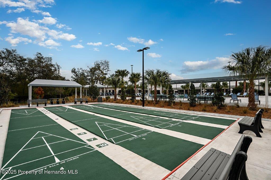 17245 Tortoise Crown Boulevard, LAND O LAKES, Florida image 48