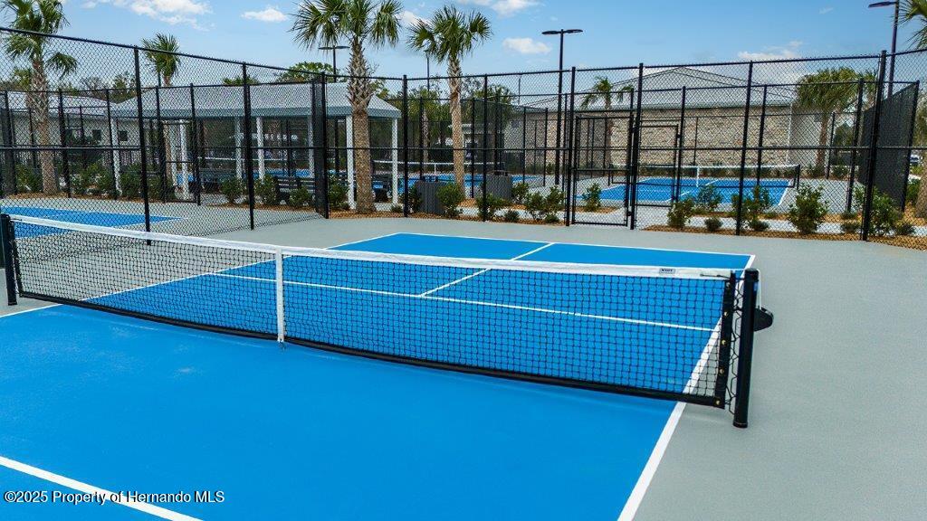 17245 Tortoise Crown Boulevard, LAND O LAKES, Florida image 38