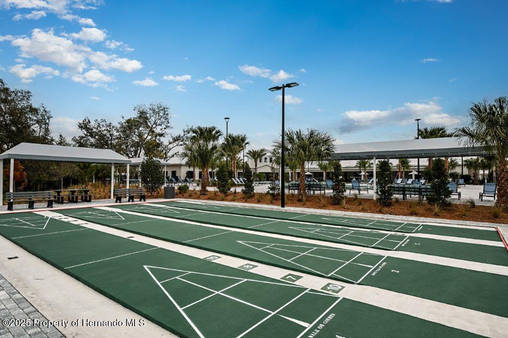 17245 Tortoise Crown Boulevard, LAND O LAKES, Florida image 49