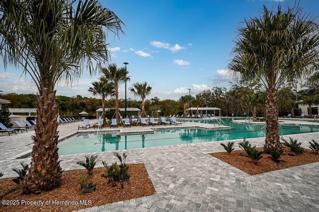 17245 Tortoise Crown Boulevard, LAND O LAKES, Florida image 47