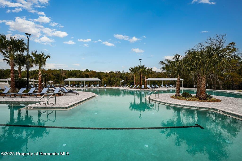 17245 Tortoise Crown Boulevard, LAND O LAKES, Florida image 46