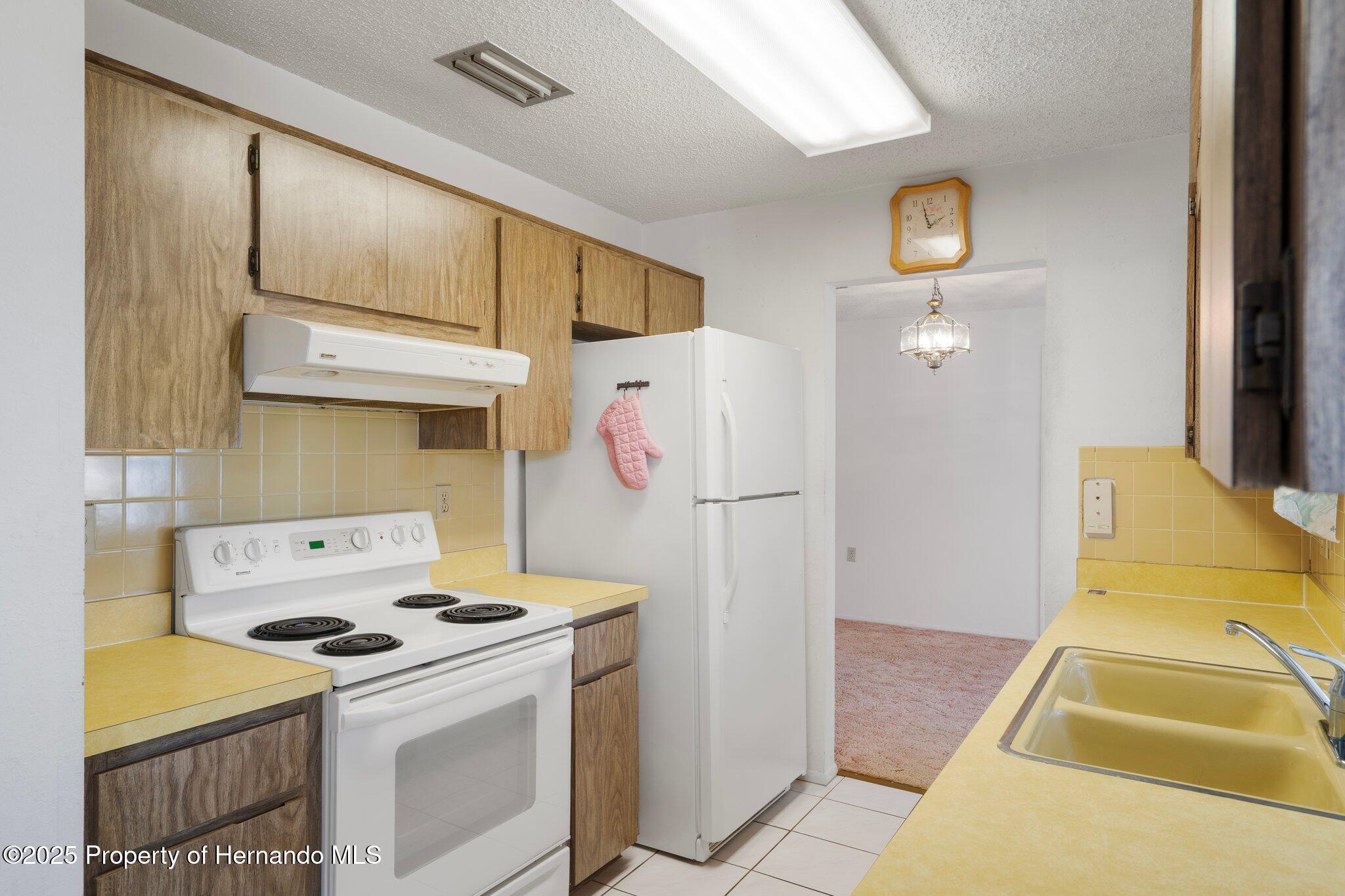 10820 Hachita Drive, Port Richey, Florida image 20