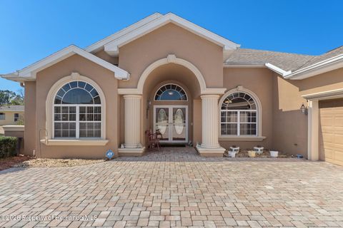 Homes For Sale - 3260 Cedar Crest Loop<br/> Spring Hill, FL 34609