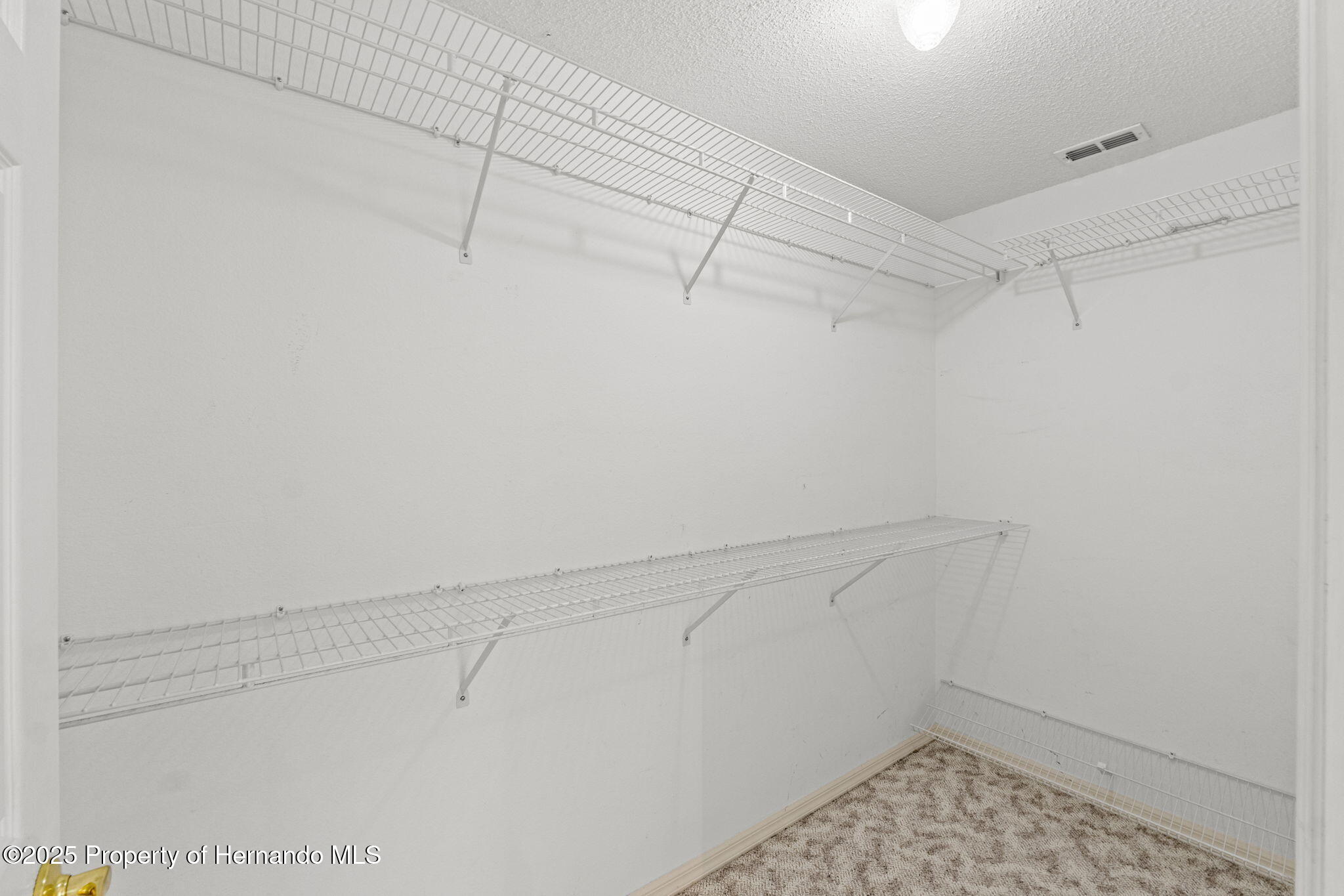 10540 Noddy Tern Road, Weeki Wachee, Florida image 42