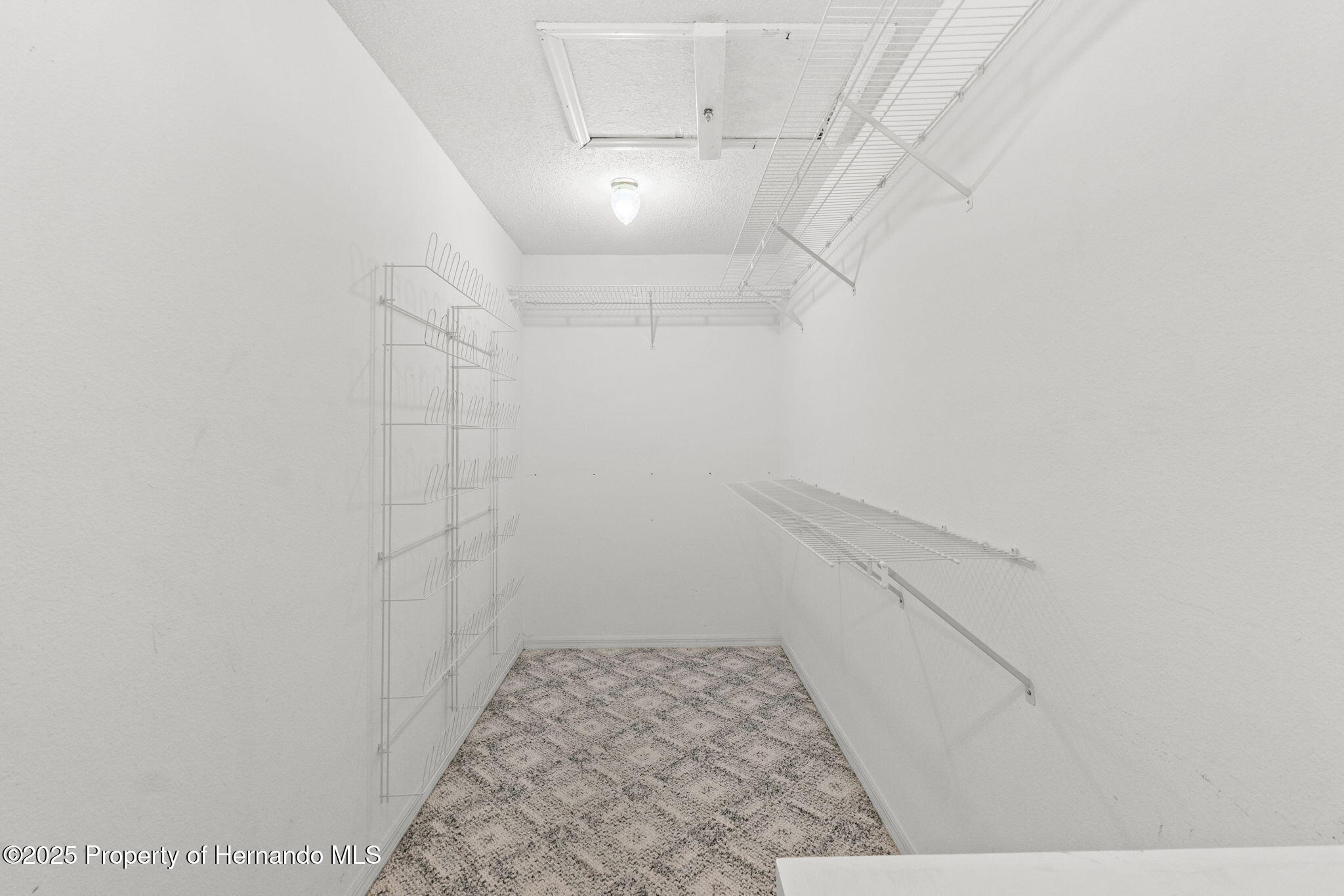 10540 Noddy Tern Road, Weeki Wachee, Florida image 24