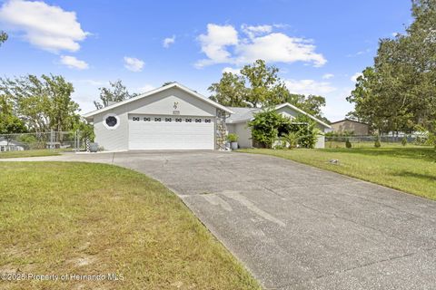 Homes For Sale - 11717 Trumbull Drive<br/> Spring Hill, FL 34609