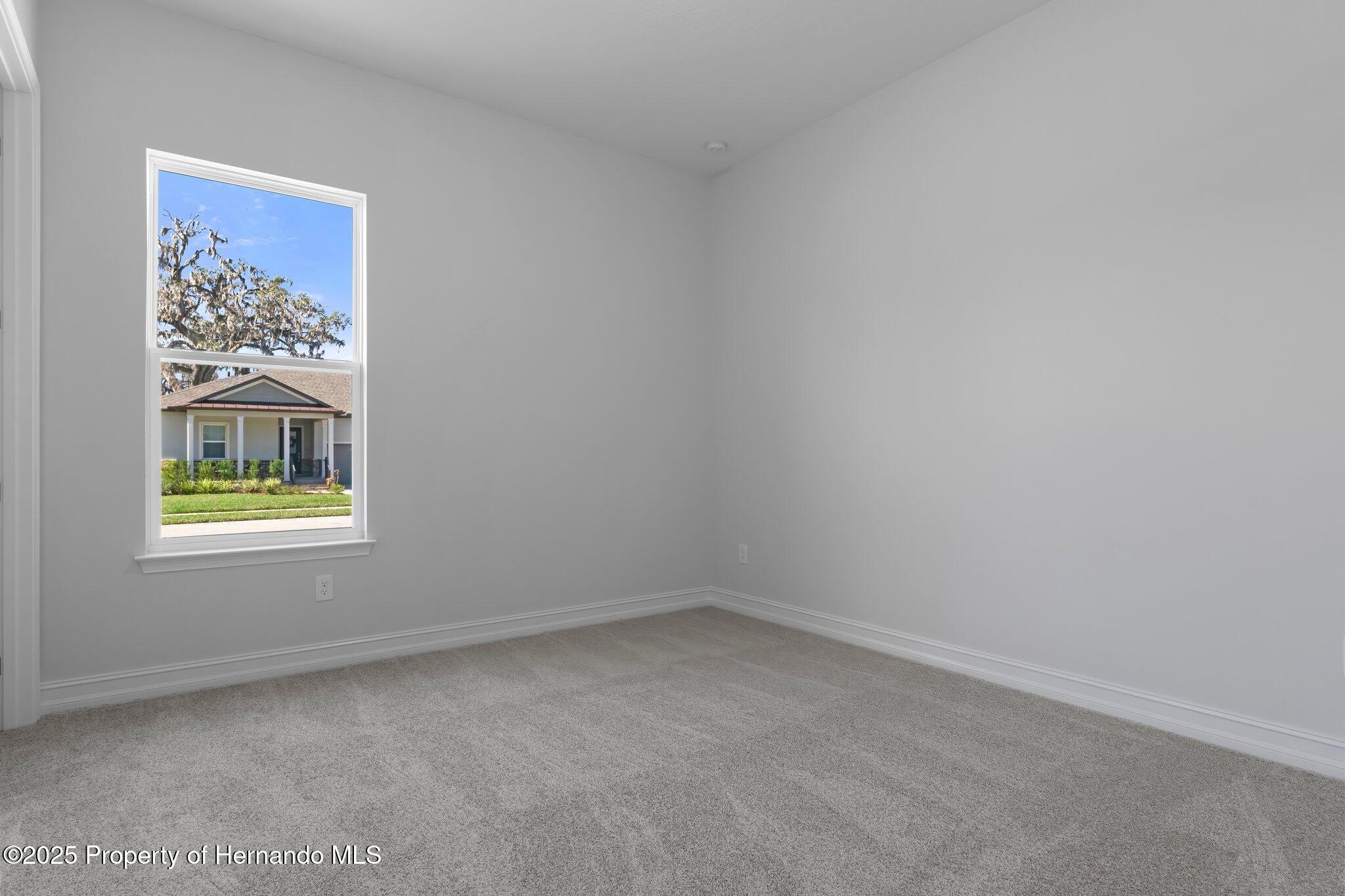 19364 Sheltered Hill Drive, Brooksville, Florida image 49