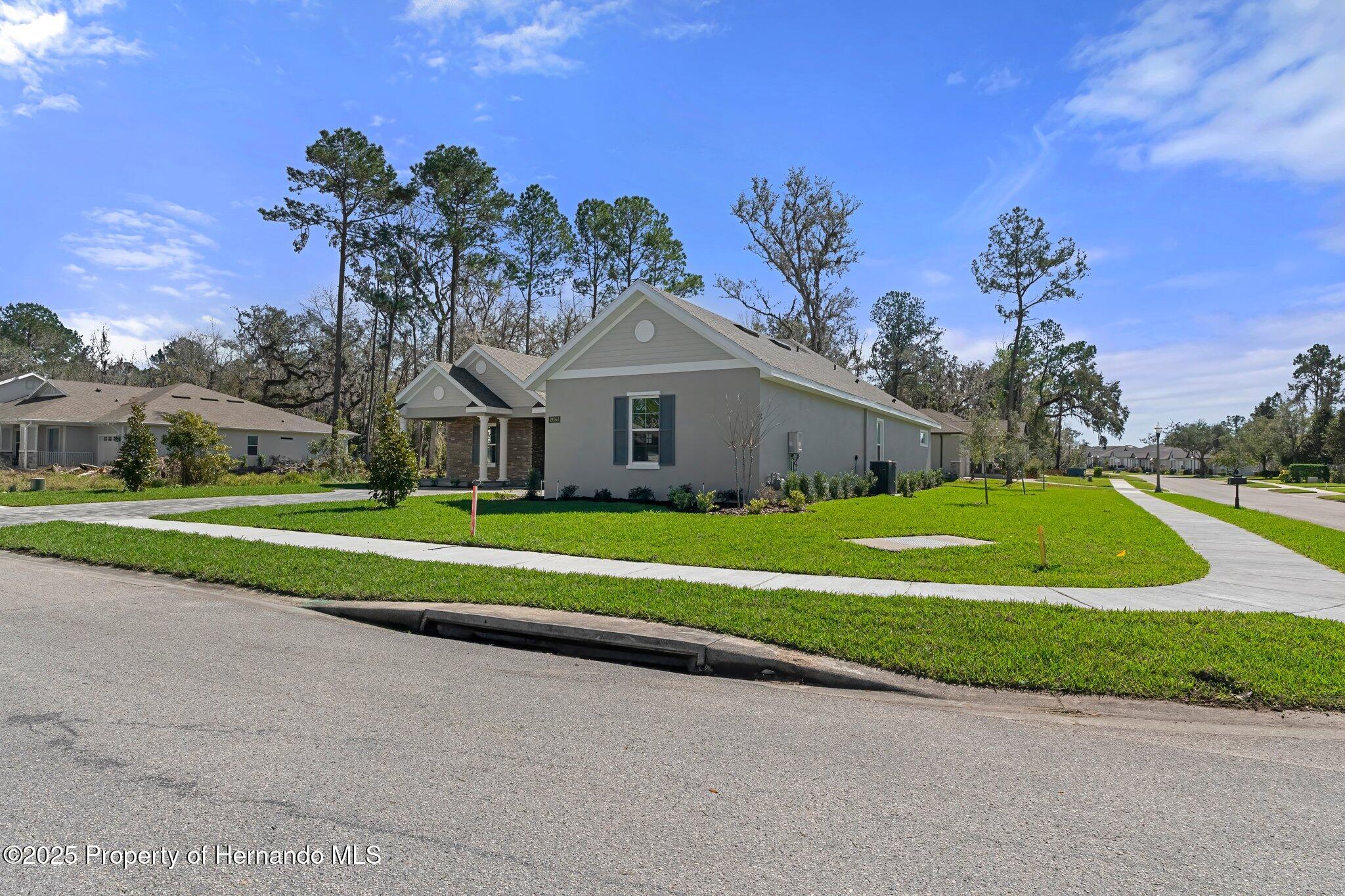 19364 Sheltered Hill Drive, Brooksville, Florida image 5