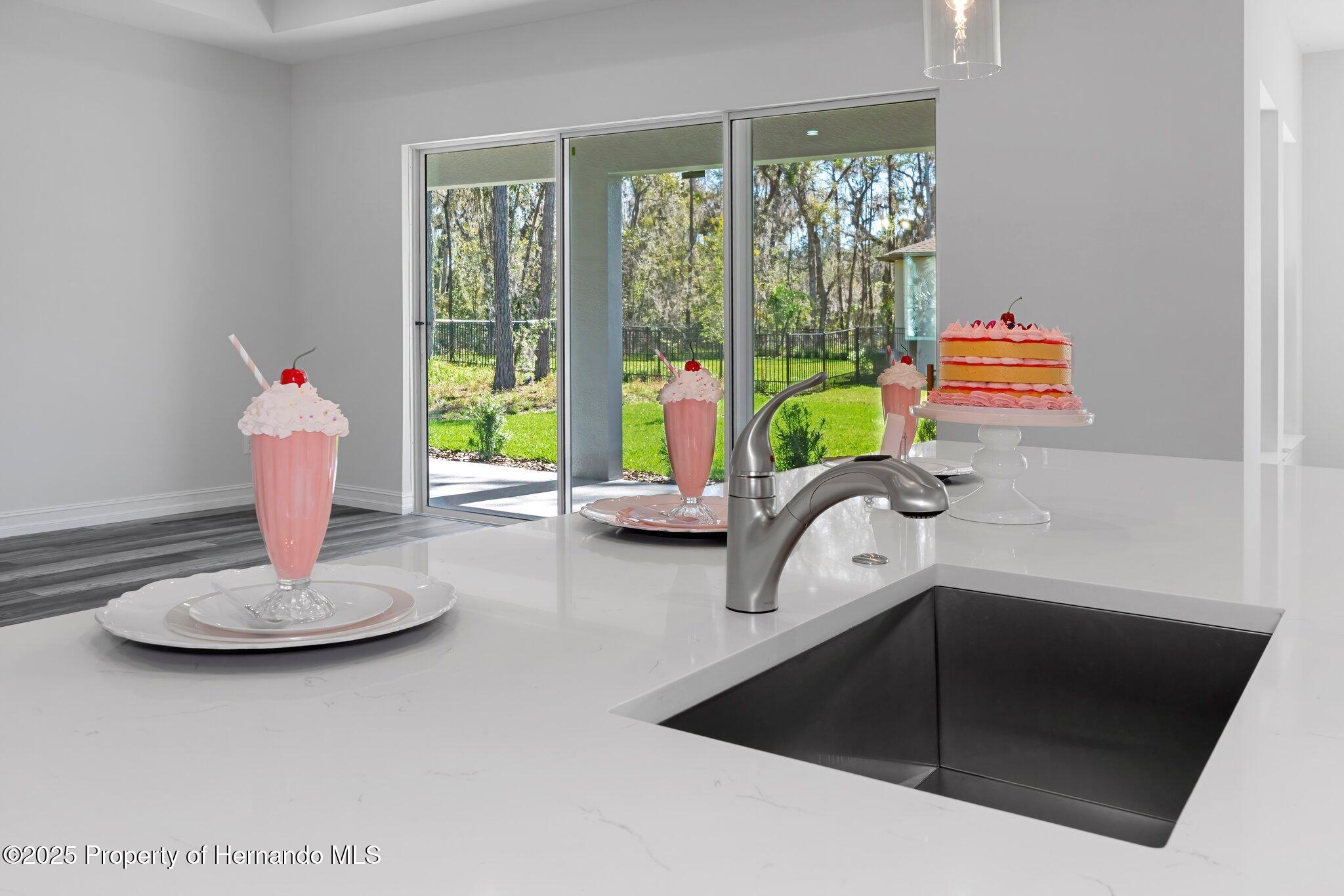 19364 Sheltered Hill Drive, Brooksville, Florida image 17