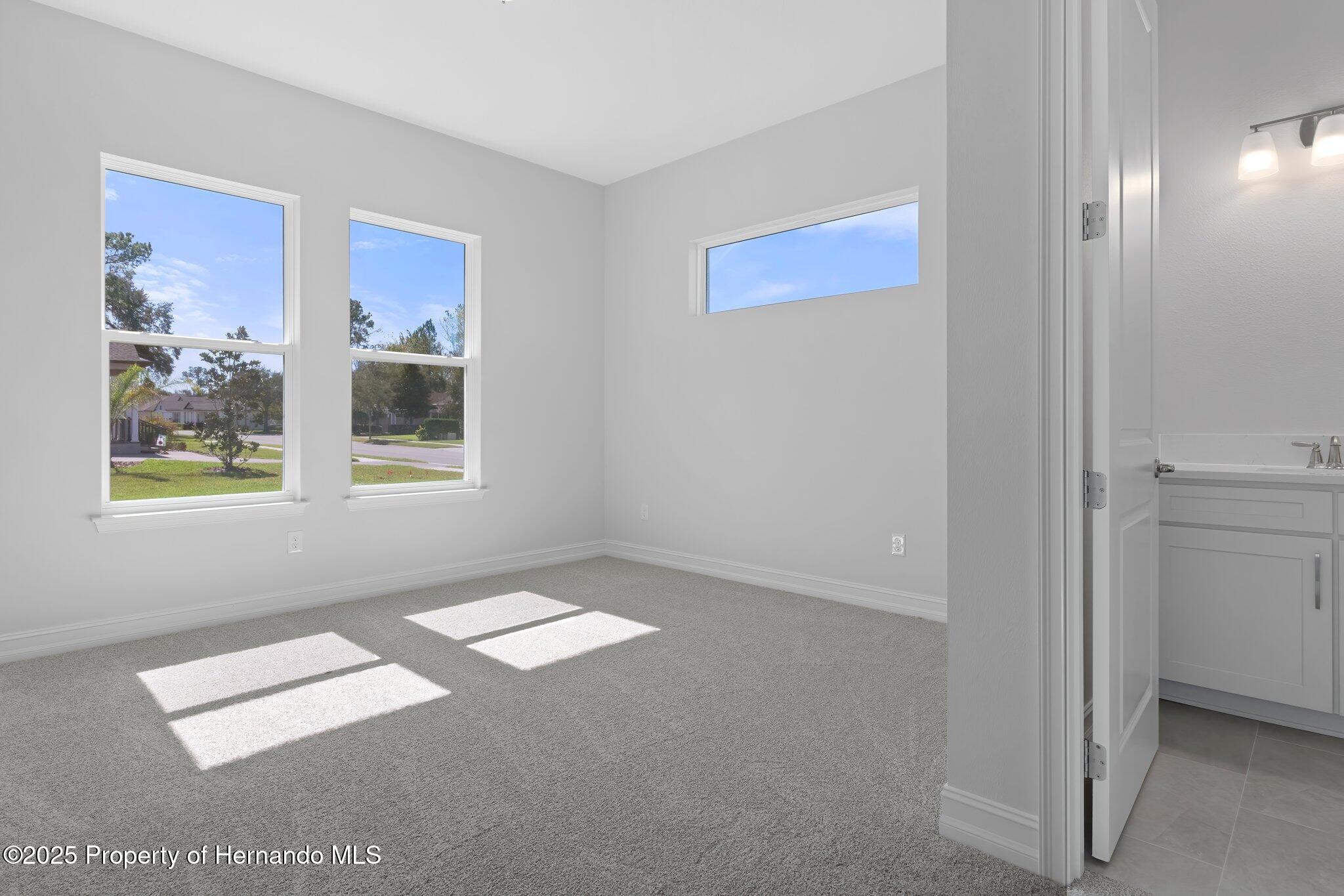 19364 Sheltered Hill Drive, Brooksville, Florida image 39