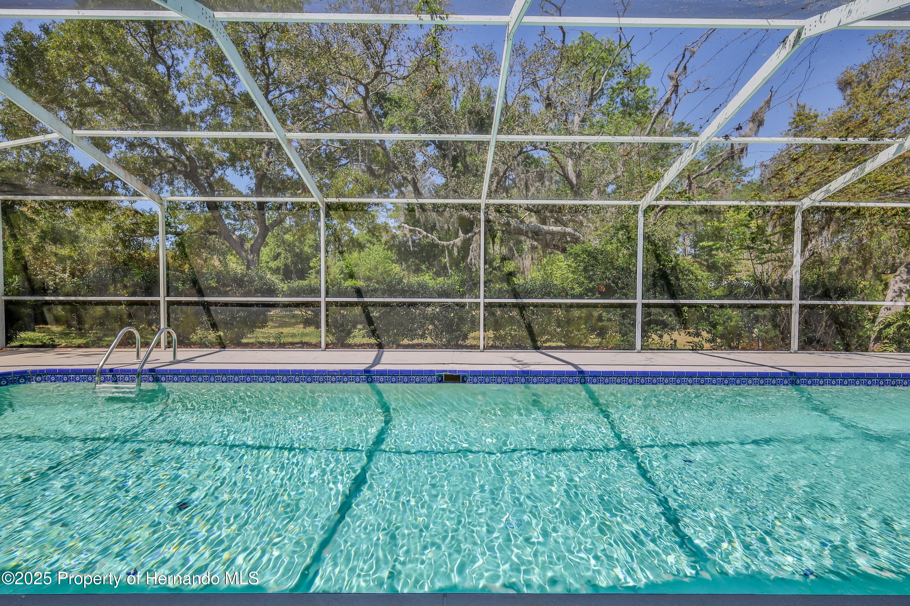2463 Running Oak Court, Spring Hill, Florida image 3