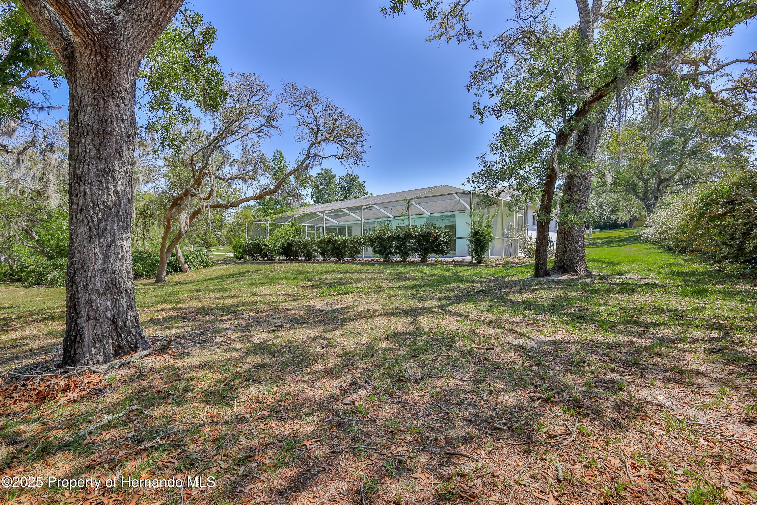 2463 Running Oak Court, Spring Hill, Florida image 4