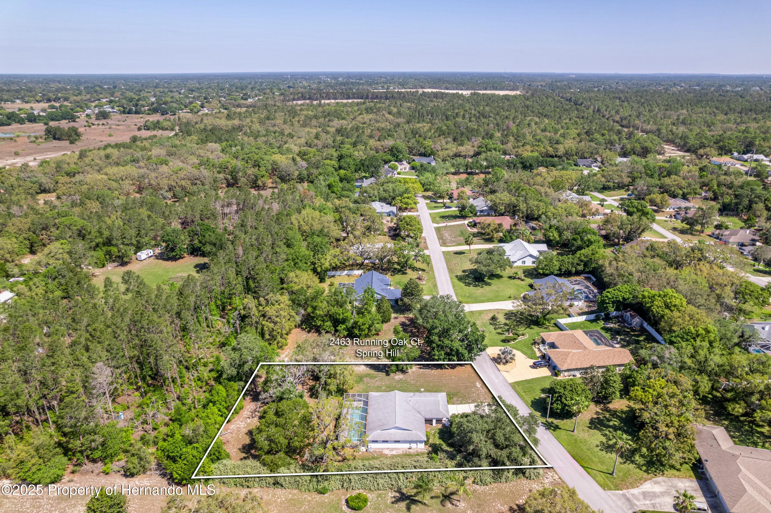 2463 Running Oak Court, Spring Hill, Florida image 40