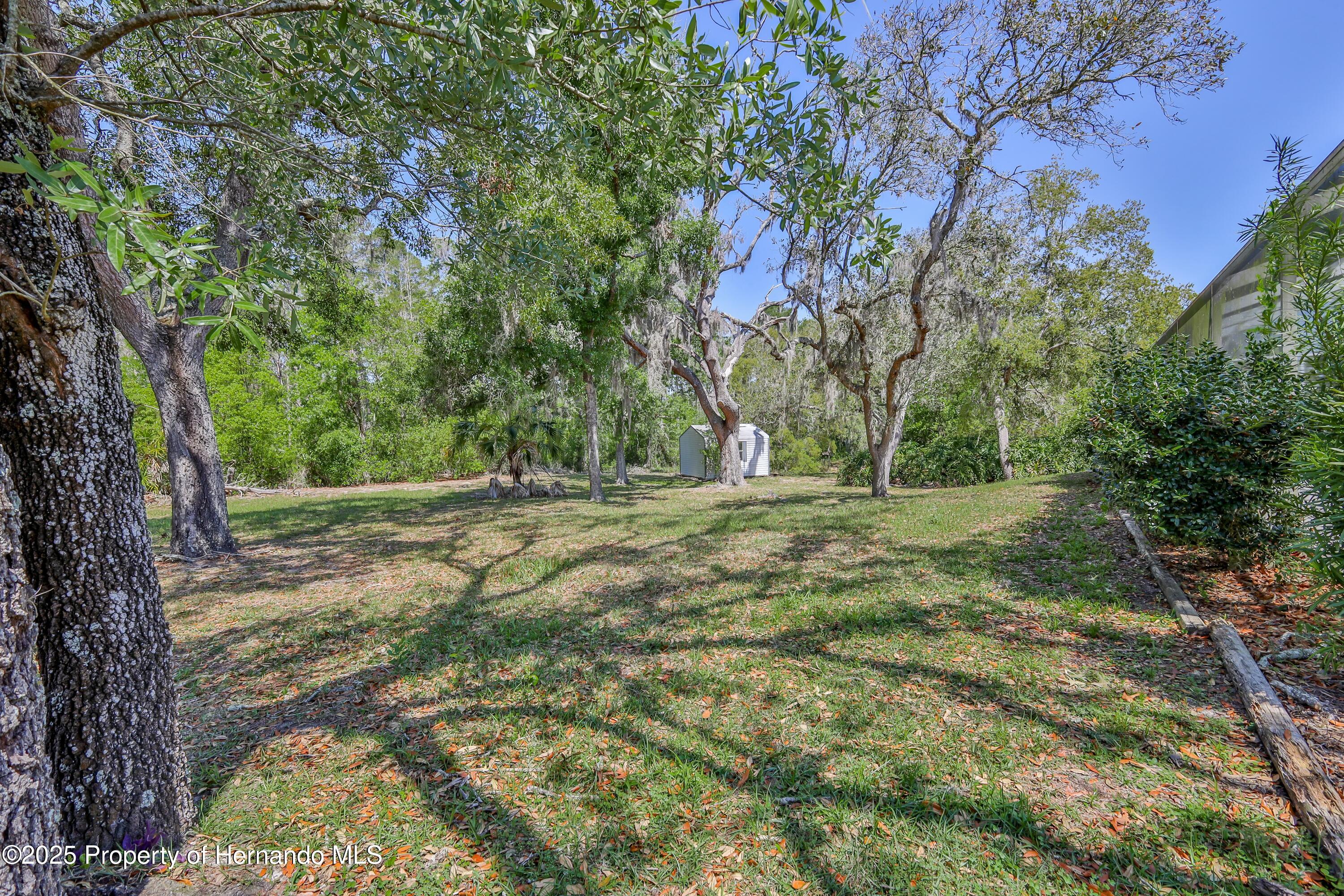 2463 Running Oak Court, Spring Hill, Florida image 8