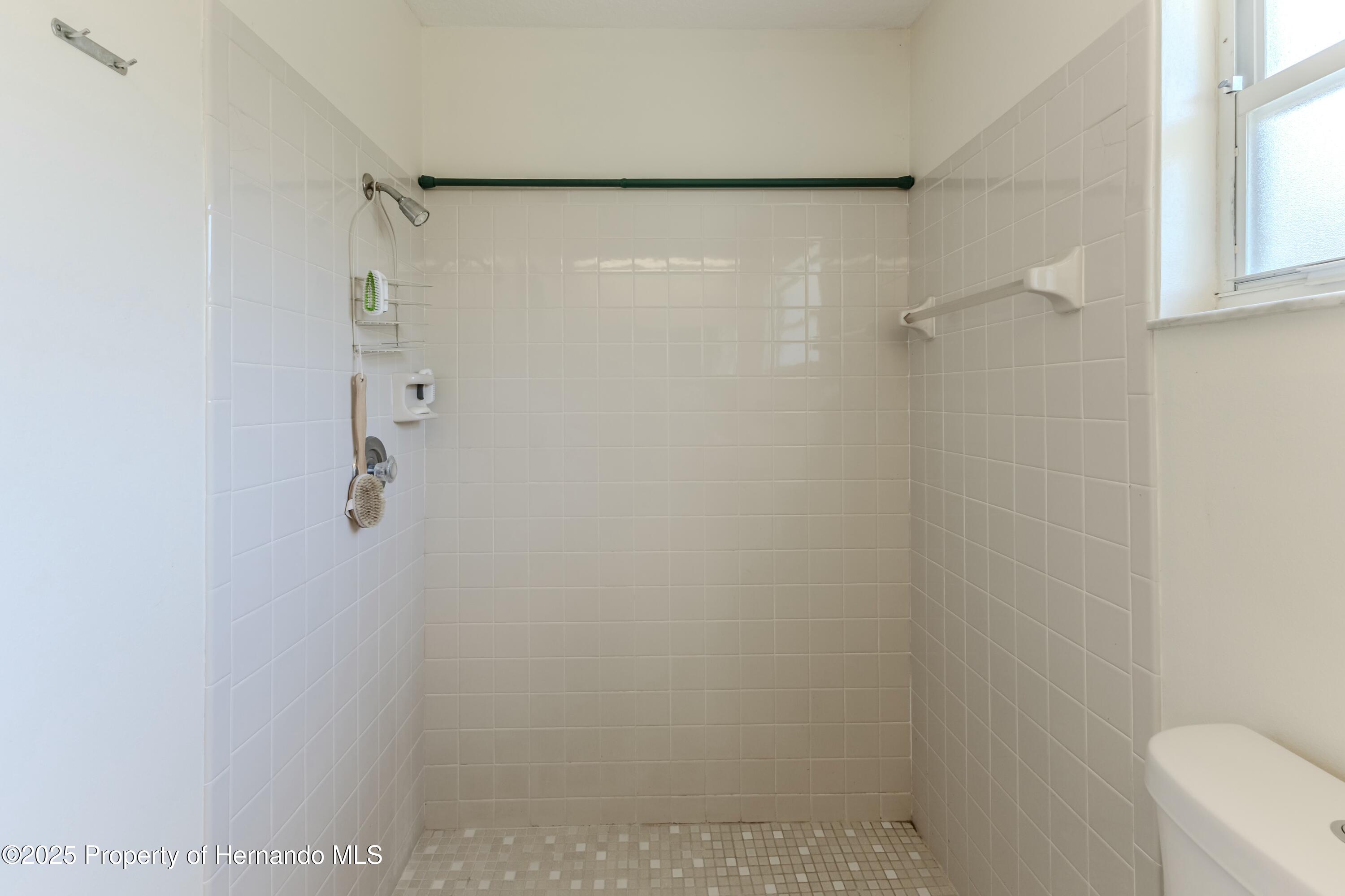 2463 Running Oak Court, Spring Hill, Florida image 23